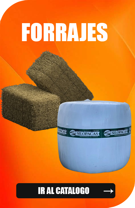 Forrajes